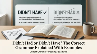 Didn’t Had or Didn’t Have