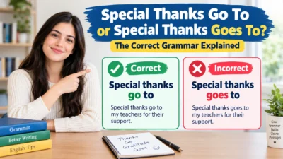Special Thanks Go To or Special Thanks Goes To
