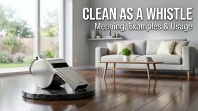 Clean as a Whistle